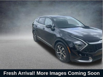 2025 Kia Sportage EX