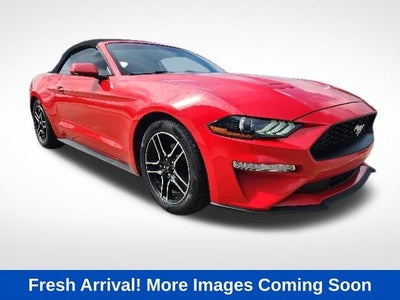 2019 Ford Mustang EcoBoost