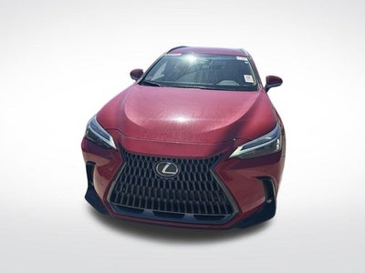2025 Lexus NX 250 Base