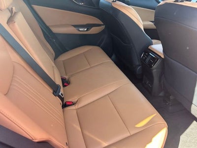 2025 Lexus NX 250 Base
