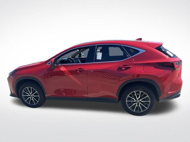 2025 Lexus NX 250 Base
